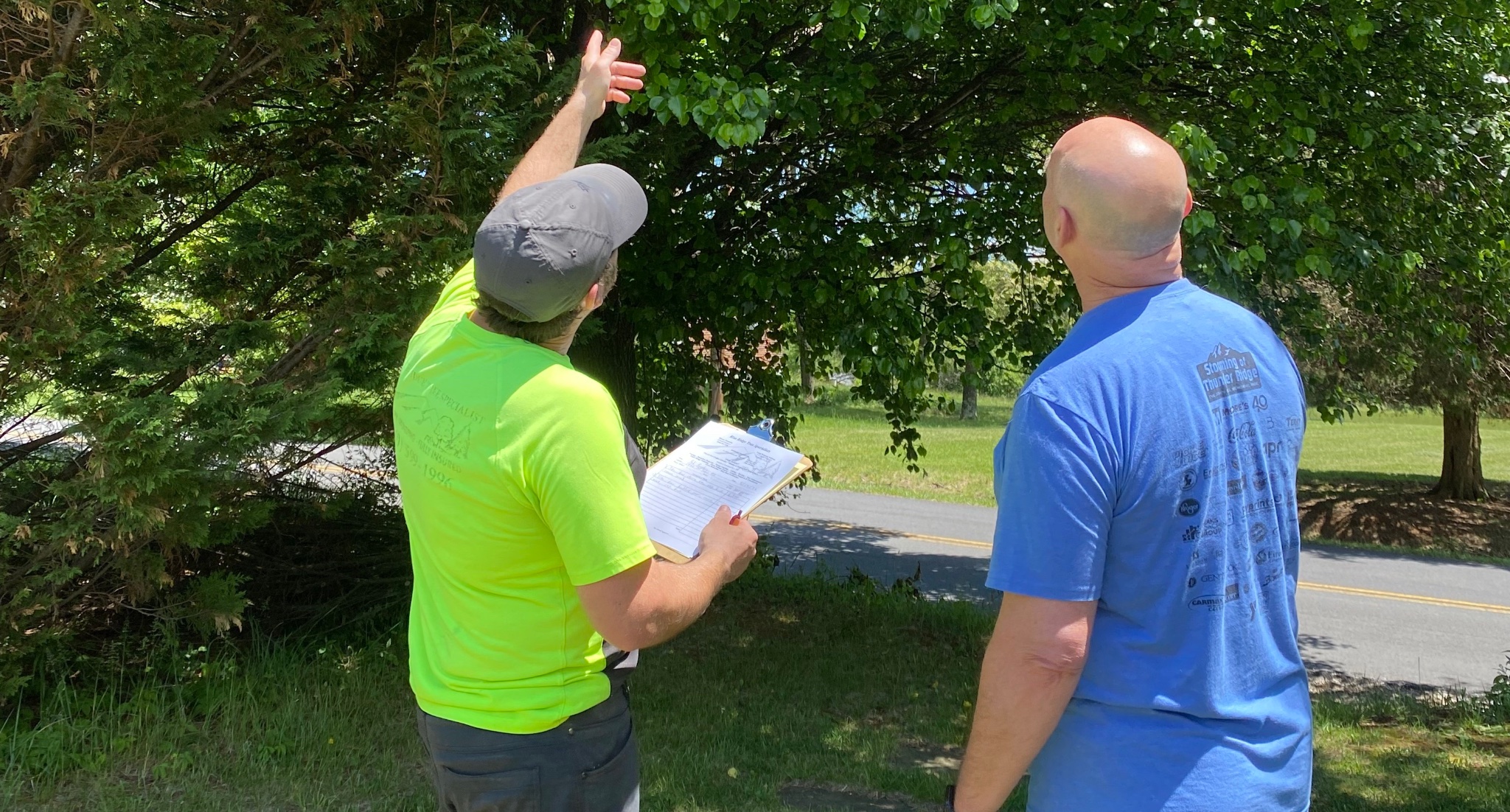 Blue Ridge Tree Man Tree Health Assessment | Blue Ridge Tree Specialists | New River Valley VA