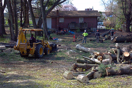 Backhoe image